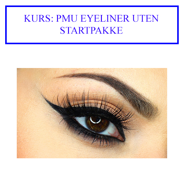 Hovedbilde KURS: PMU EYELINER UTEN startpakke (må ikke kjøpes)