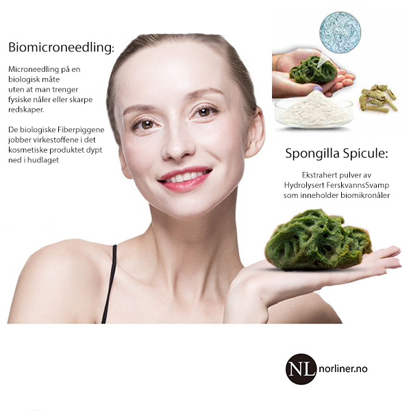 Bilde av HS-SQT Spongilla Recovery Set - Til 10 Beh.